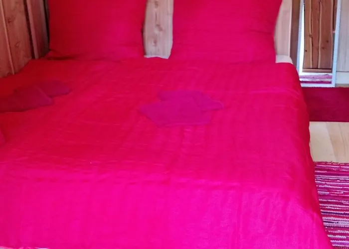 Seeblick Seewalchen am Attersee